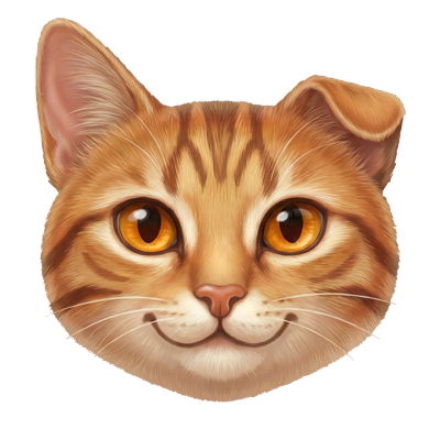 Tabby — a friendly orange tabby cat